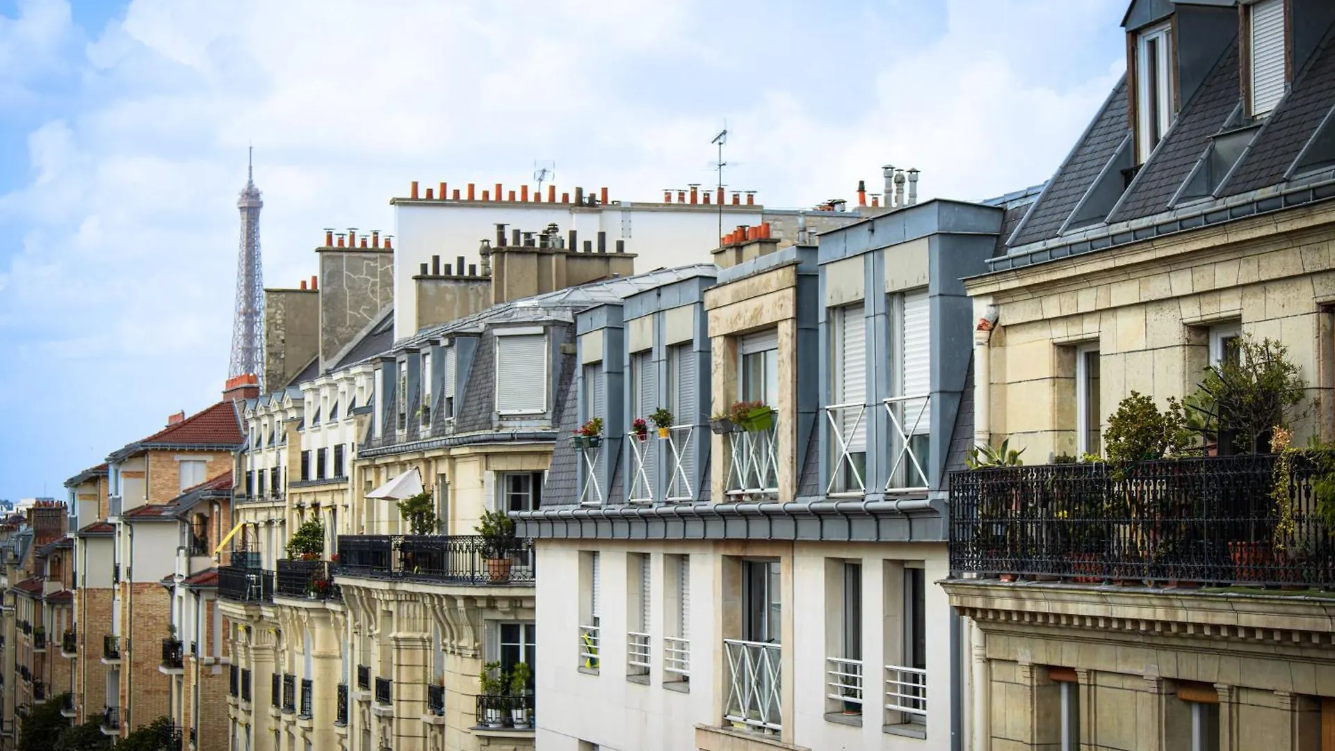 Bargue Paris